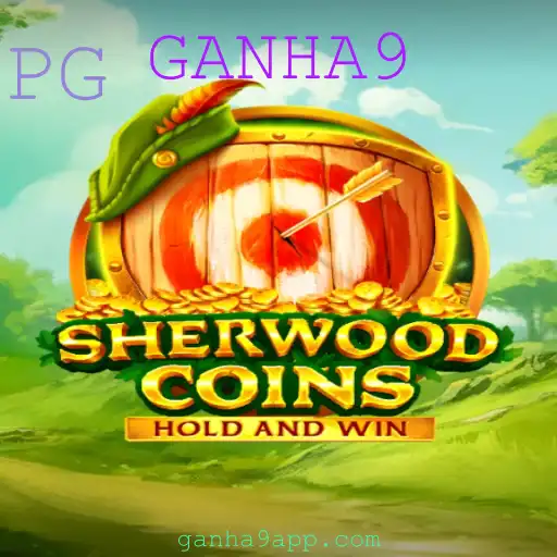 Descubra os Segredos e Regras do Inovador Jogo SherwoodCoins